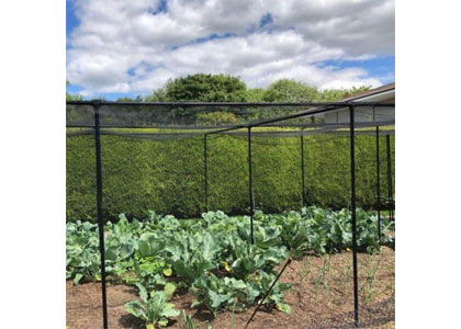 Butterfly Netting Green Or Black