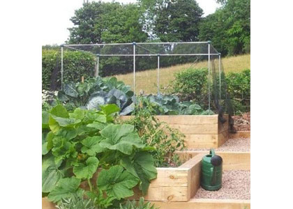 Fruit And Vegetable Cages