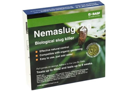 Slug Nematodes Nemaslug 40 Sqm